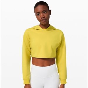 NWT All Yours Cropped Hoodie
